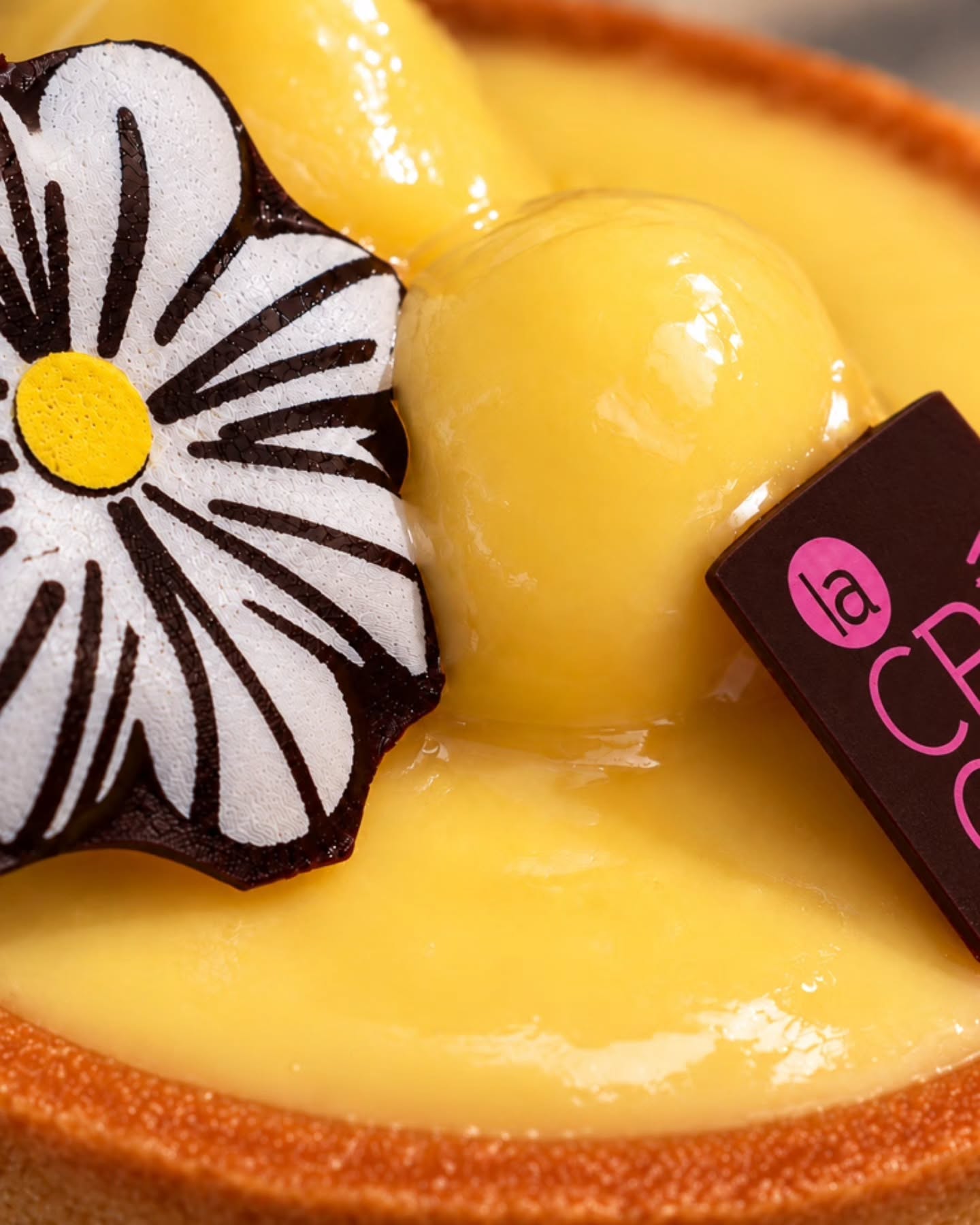Close-up of La Créole’s lemon tart and chocolate flower